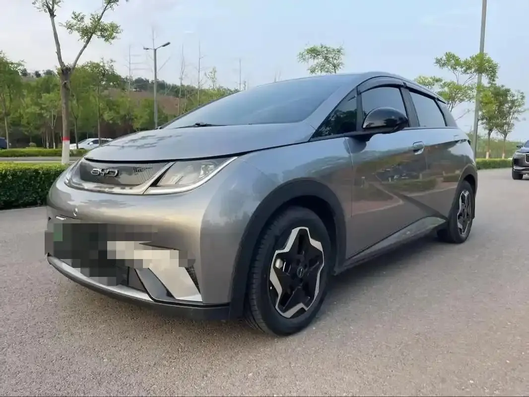BYD 2021 Dolphin 405km Fashion Edition Automatic - View 1