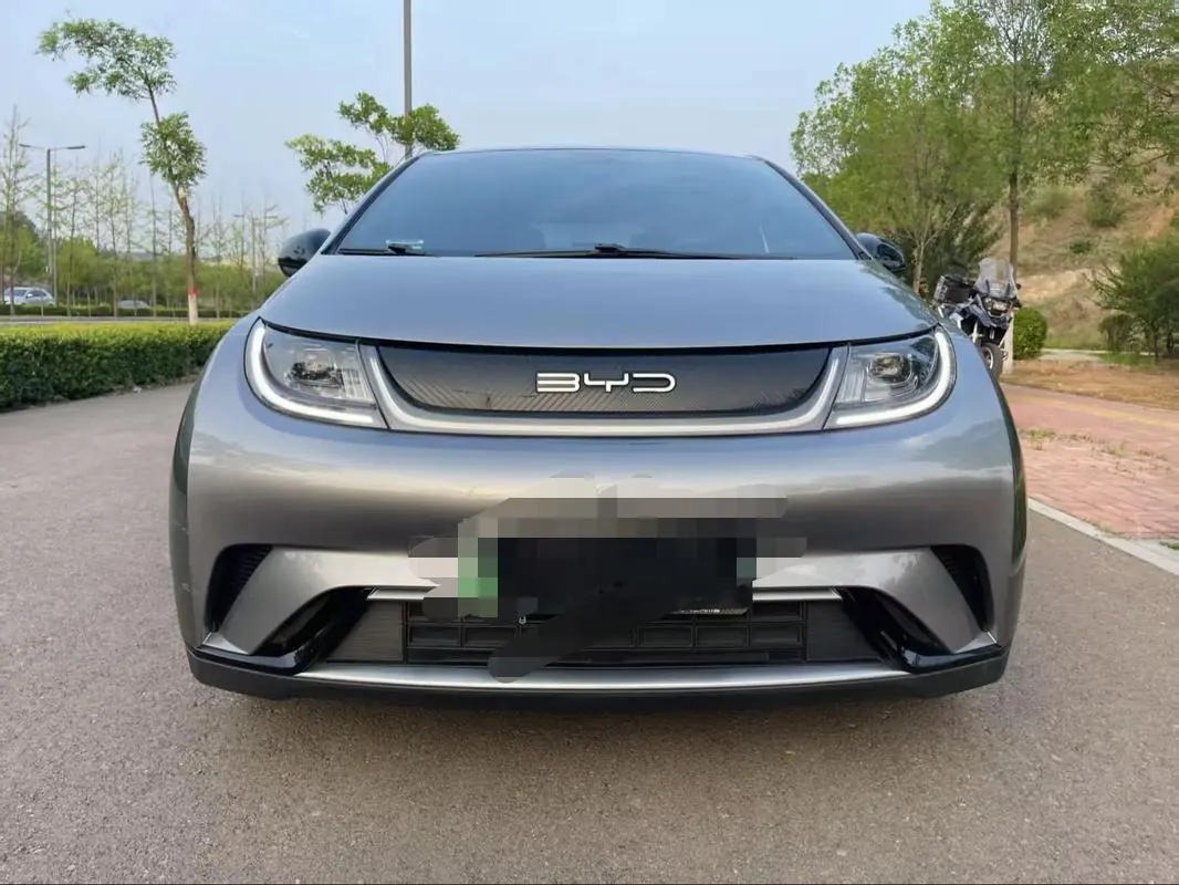 BYD 2021 Dolphin 405km Fashion Edition Automatic 2