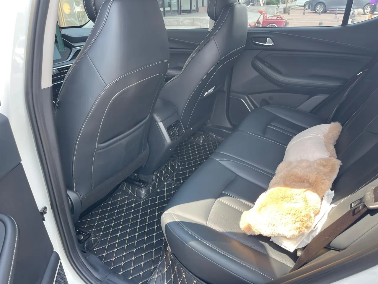 Chuanqi 2022 GS4 1.5T 270T Zhixing Pilot Edition Automatic Gear 5