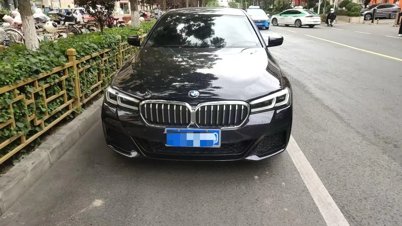 BMW 5 Series 2021 530Li 2.0T Leading Luxury Suit Automatic Gear 3