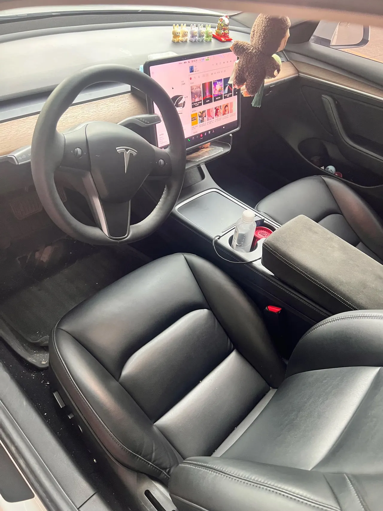 Tesla 2021 Model 3 Standard Endurance Rear Drive Upgraded Automatic Gear 6
