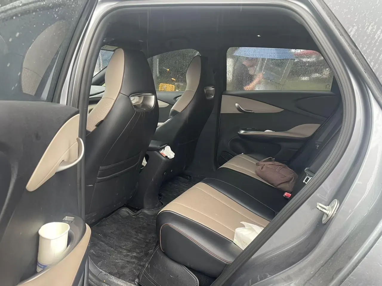 BYD 2023 Dolphin 420km Fashion Edition Automatic 3