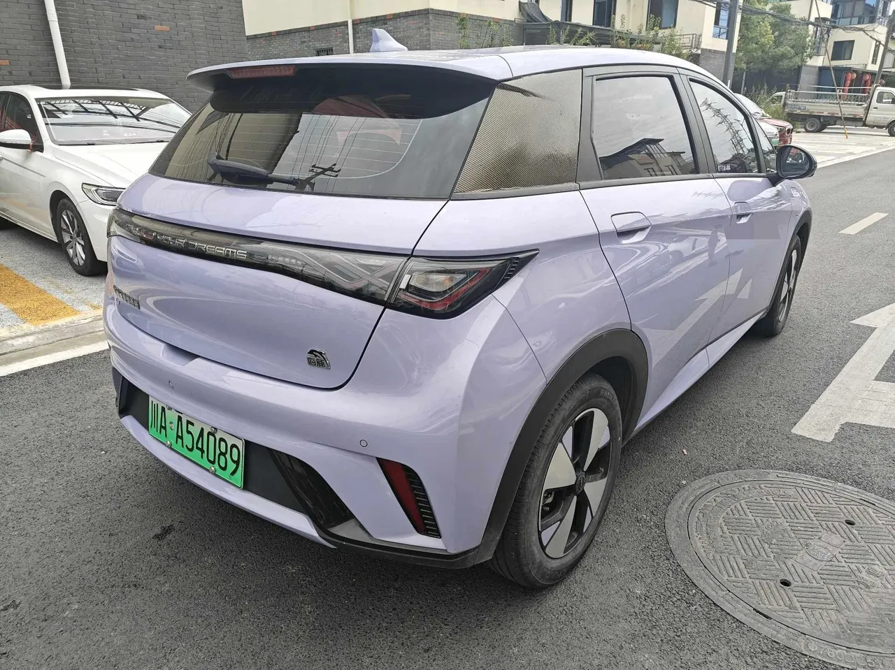 BYD 2023 Dolphins 420km Free Edition Automatic 7