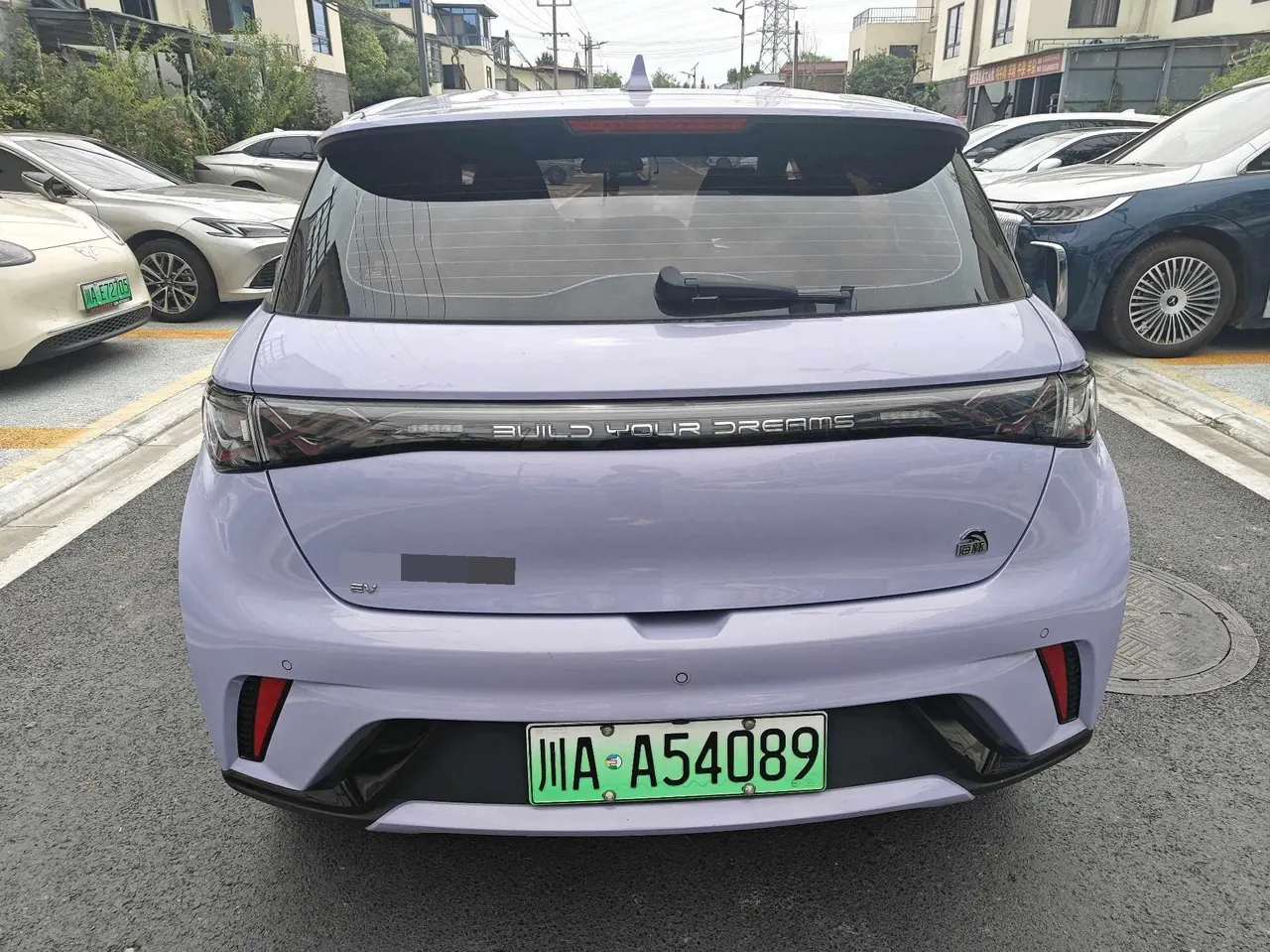 BYD 2023 Dolphins 420km Free Edition Automatic 8