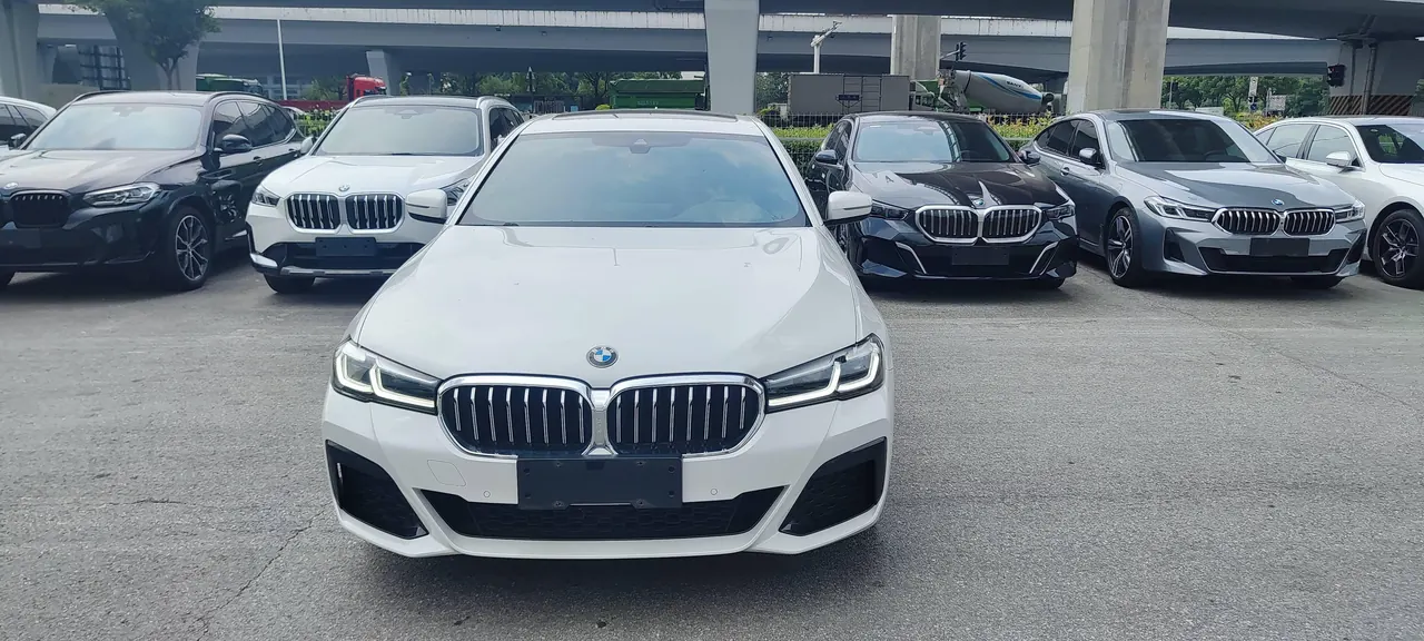 BMW 5 Series 2021 530Li 2.0T Leading M Sports Suit Automatic Gear 2