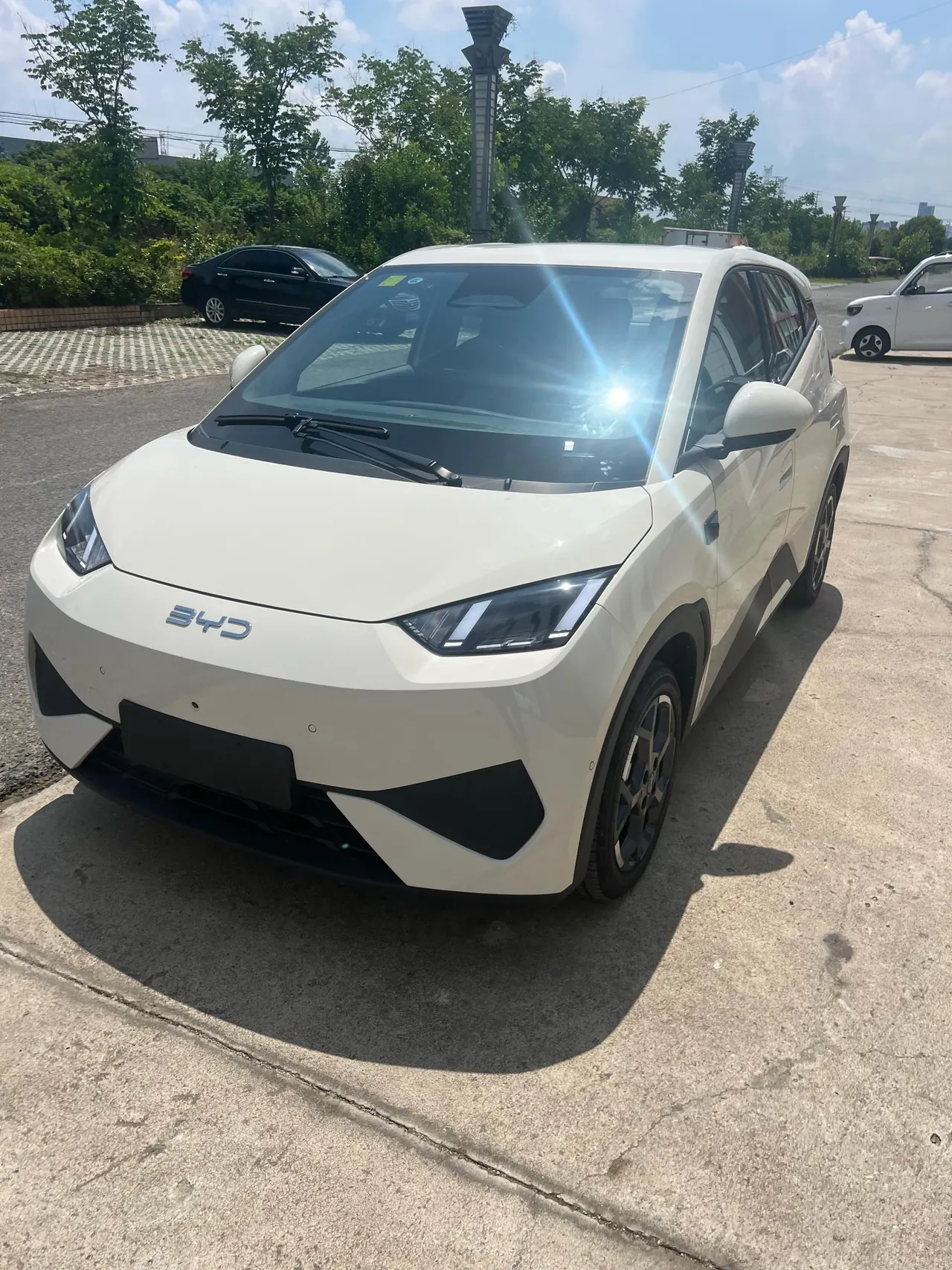 BYD 2025 Seagull Smart Driving Edition 305km Free Edition Automatic Gear - View 1