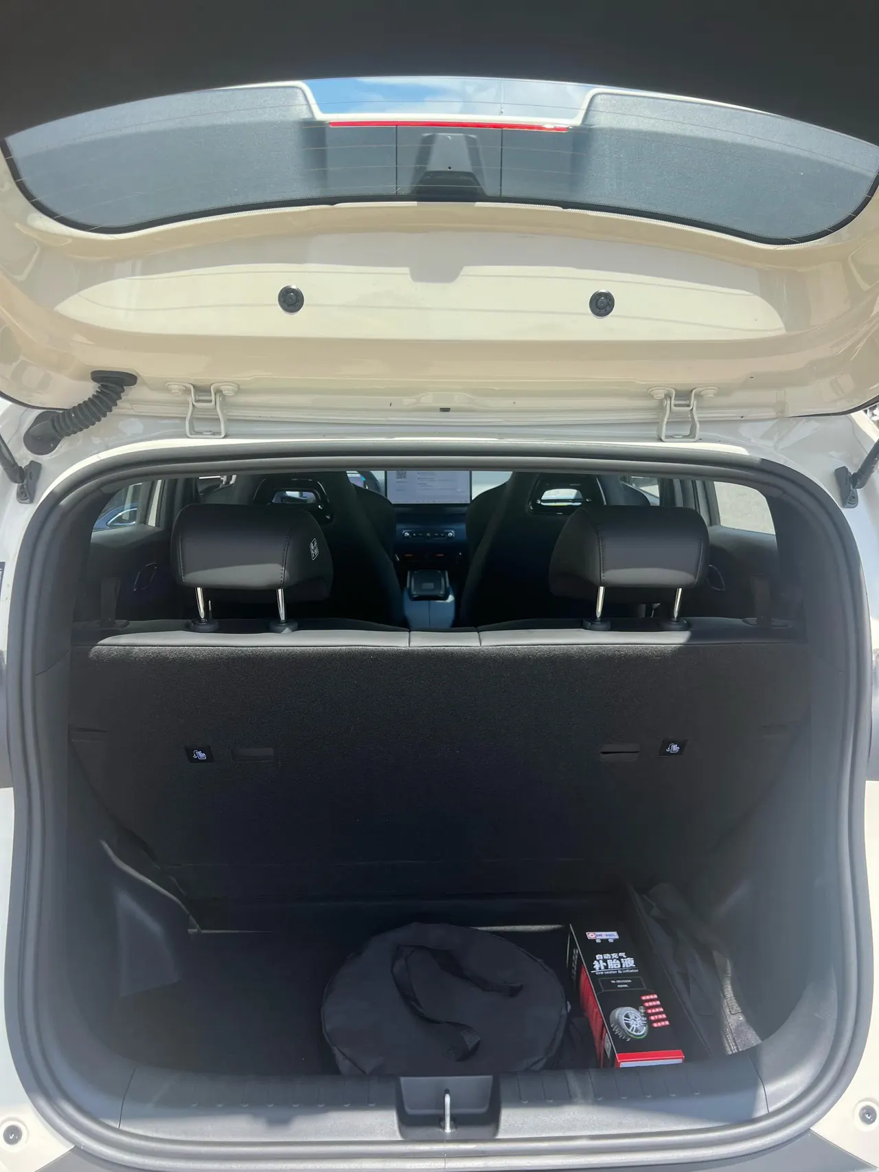 BYD 2025 Seagull Smart Driving Edition 305km Free Edition Automatic Gear 6