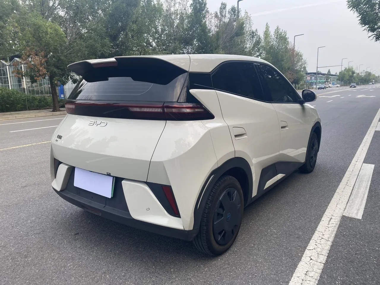 BYD 2025 seagulls 305km dynamic version of automatic gear 6