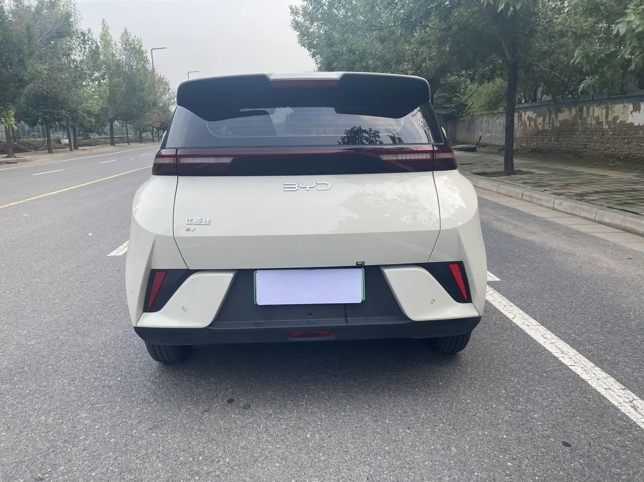 BYD 2025 seagulls 305km dynamic version of automatic gear 9