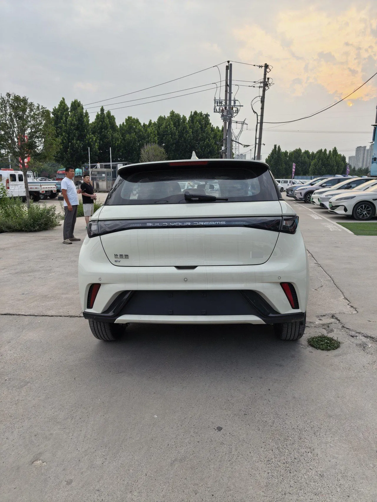 BYD 2025 Dolphins 420km Free Edition Automatic 5