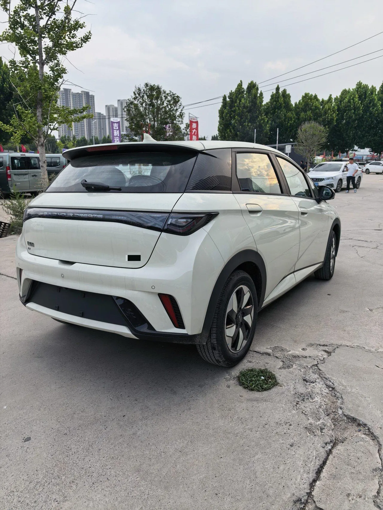 BYD 2025 Dolphins 420km Free Edition Automatic 6