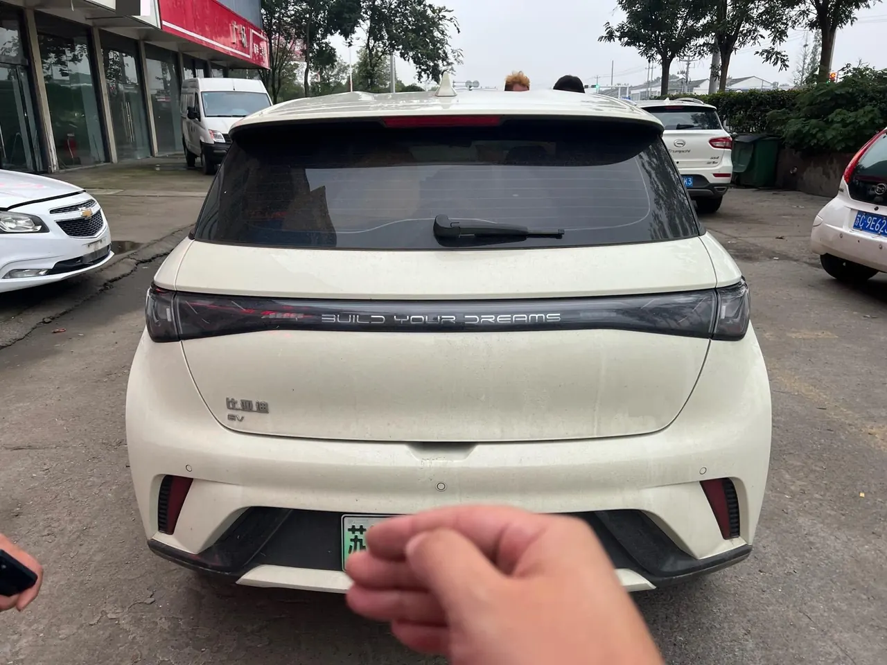 BYD 2025 Dolphins 420km Free Edition Automatic 7