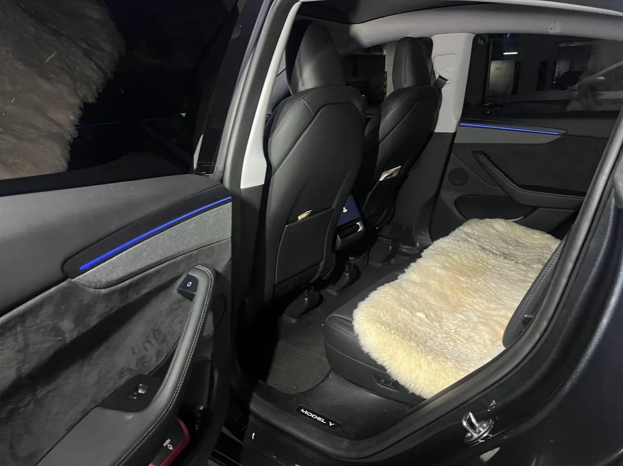Tesla 2025 Model Y long endurance all-wheel drive version (modified) automatic gear 5