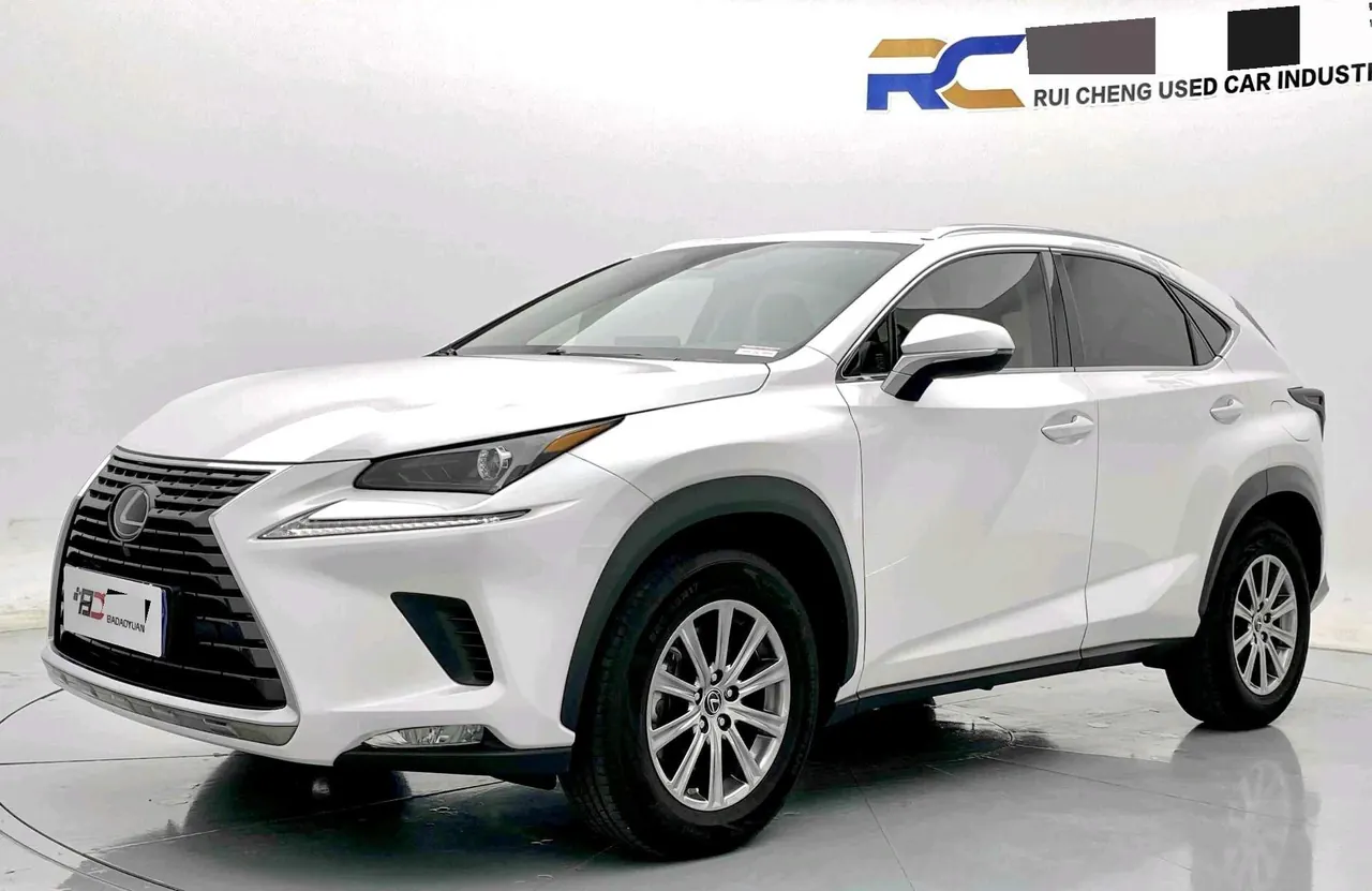 Lexus NX (Imported) 2020 NX200 2.0 Stepless Front Edition Automatic Gear - View 1