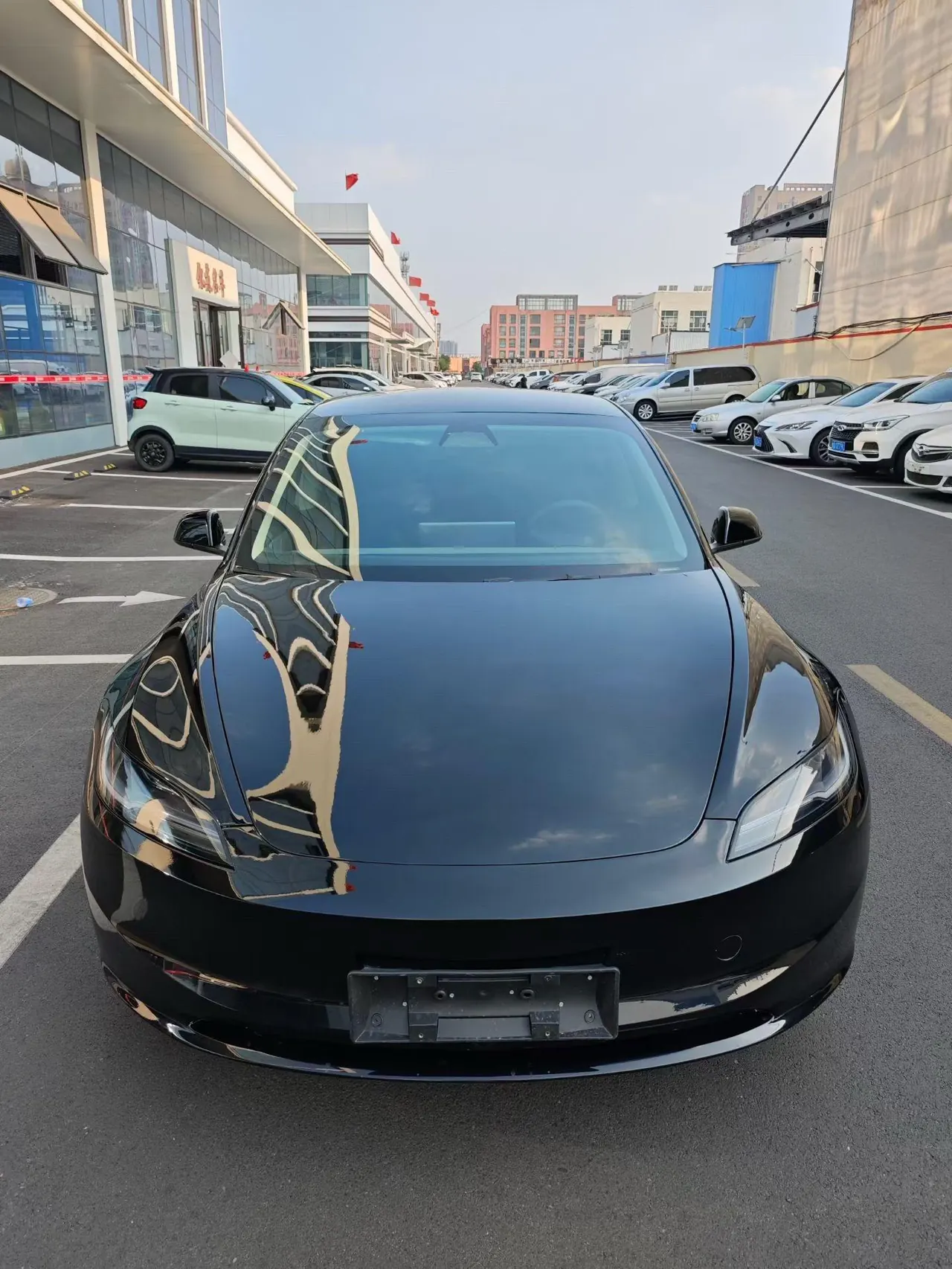 Tesla 2025 Model 3 Rear-Wheel-Drive Edition (facelift) Automatic Transmission 2