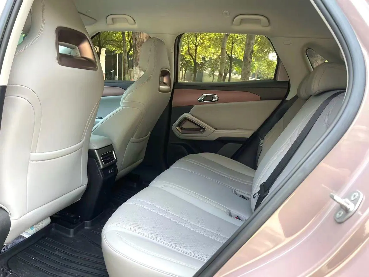 BYD 2025 Yuan UP Smart Driving 401KM Vital Automatic Gear 3