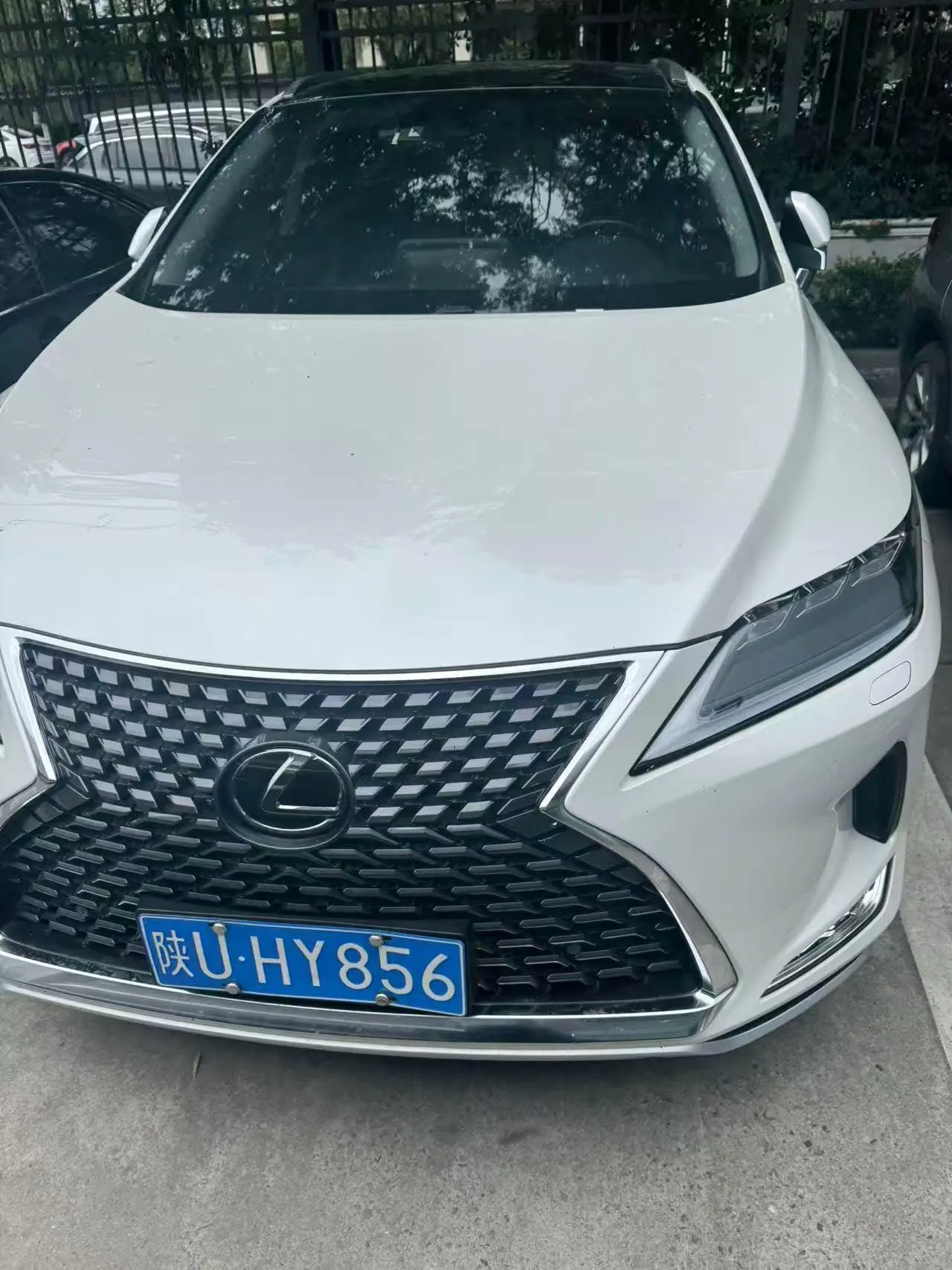 Lexus RX (Imported) 2020 RX300 2.0T Four-wheel Drive Elegant Automatic Gear 5