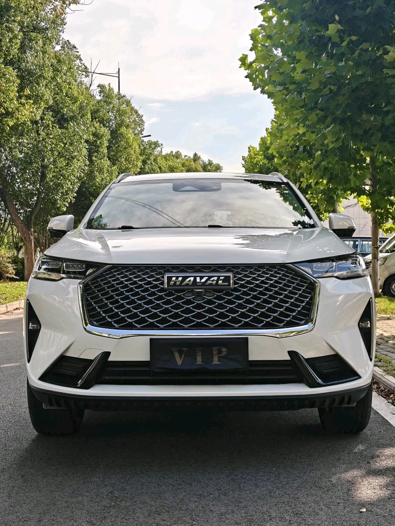 Haval 2022 H6 1.5T Two-Drive Max Automatic 8