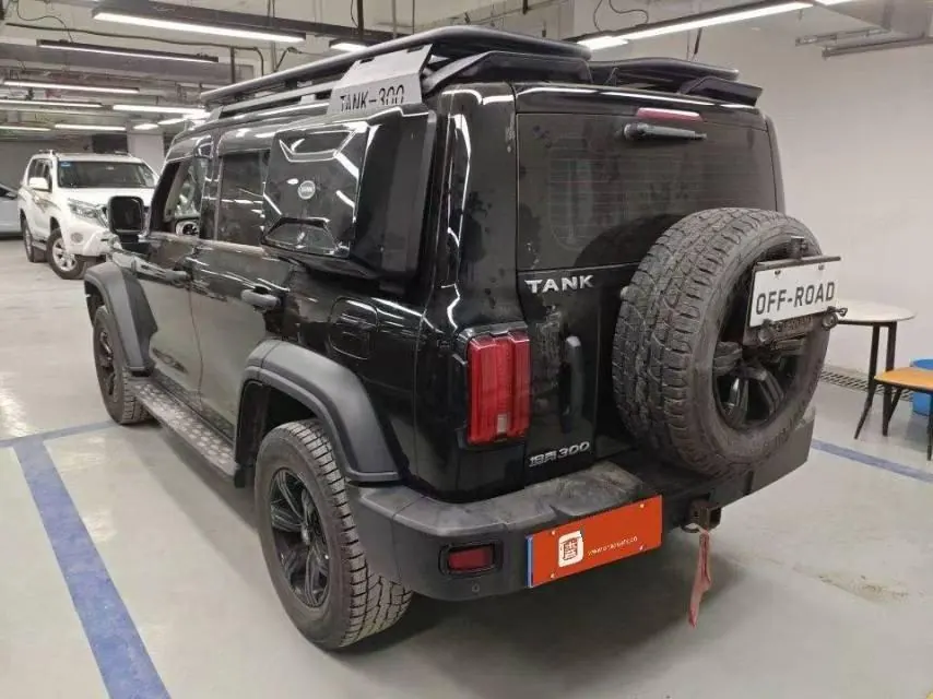 Tank 2021 Tank 300 2.0T Off-road Conqueror Automatic 2