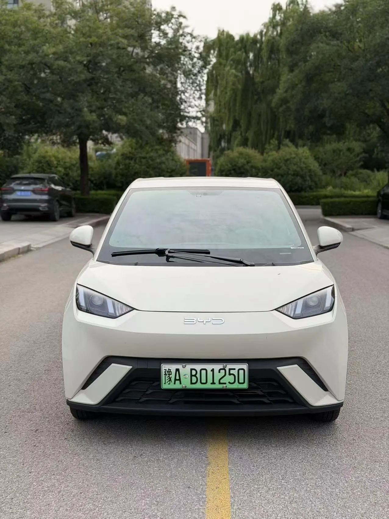 BYD 2024 Seagull Glory Edition 305km Vital Edition Automatic Gear 2