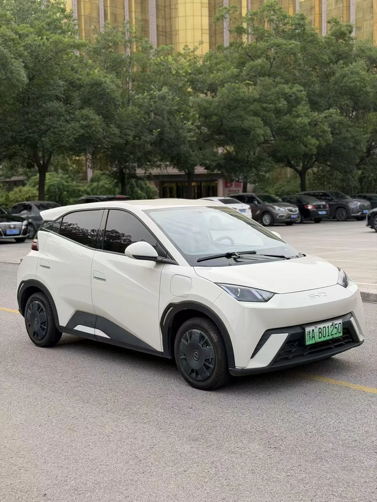 BYD 2024 Seagull Glory Edition 305km Vital Edition Automatic Gear 3