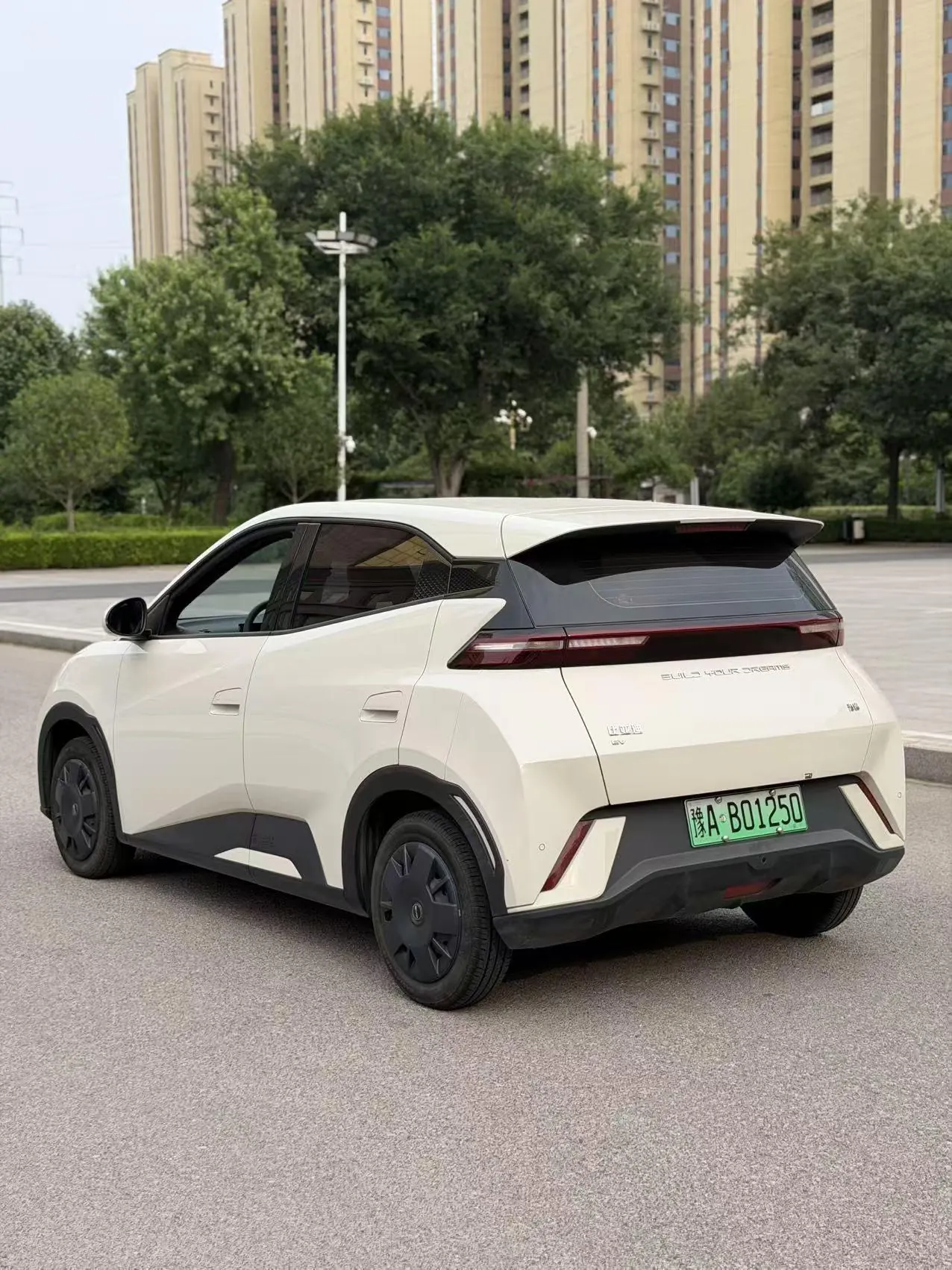 BYD 2024 Seagull Glory Edition 305km Vital Edition Automatic Gear 7