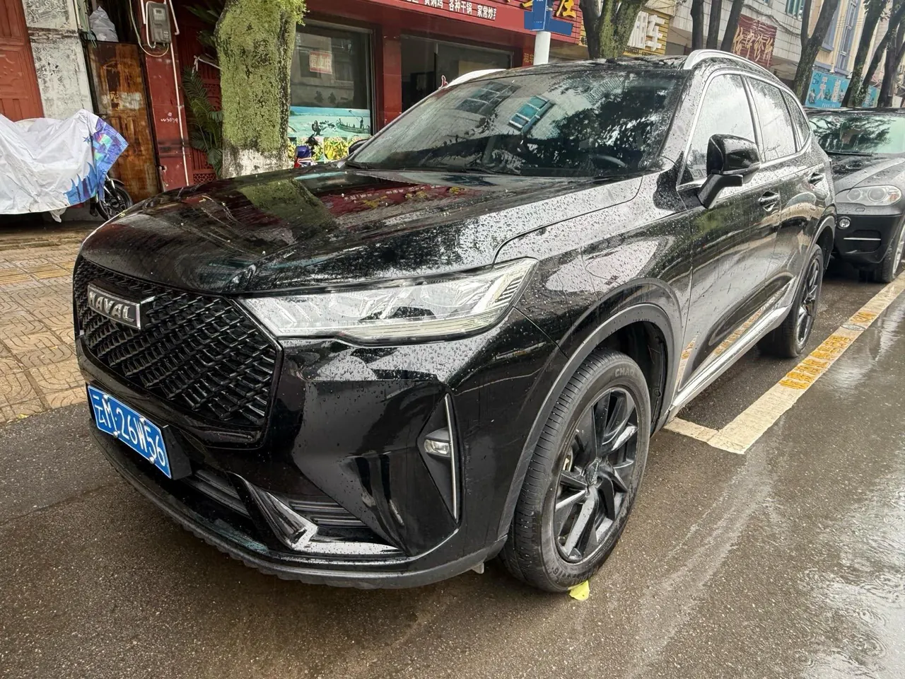 Haval 2021 H6 2.0GDIT four-wheel drive Max automatic gear - View 1