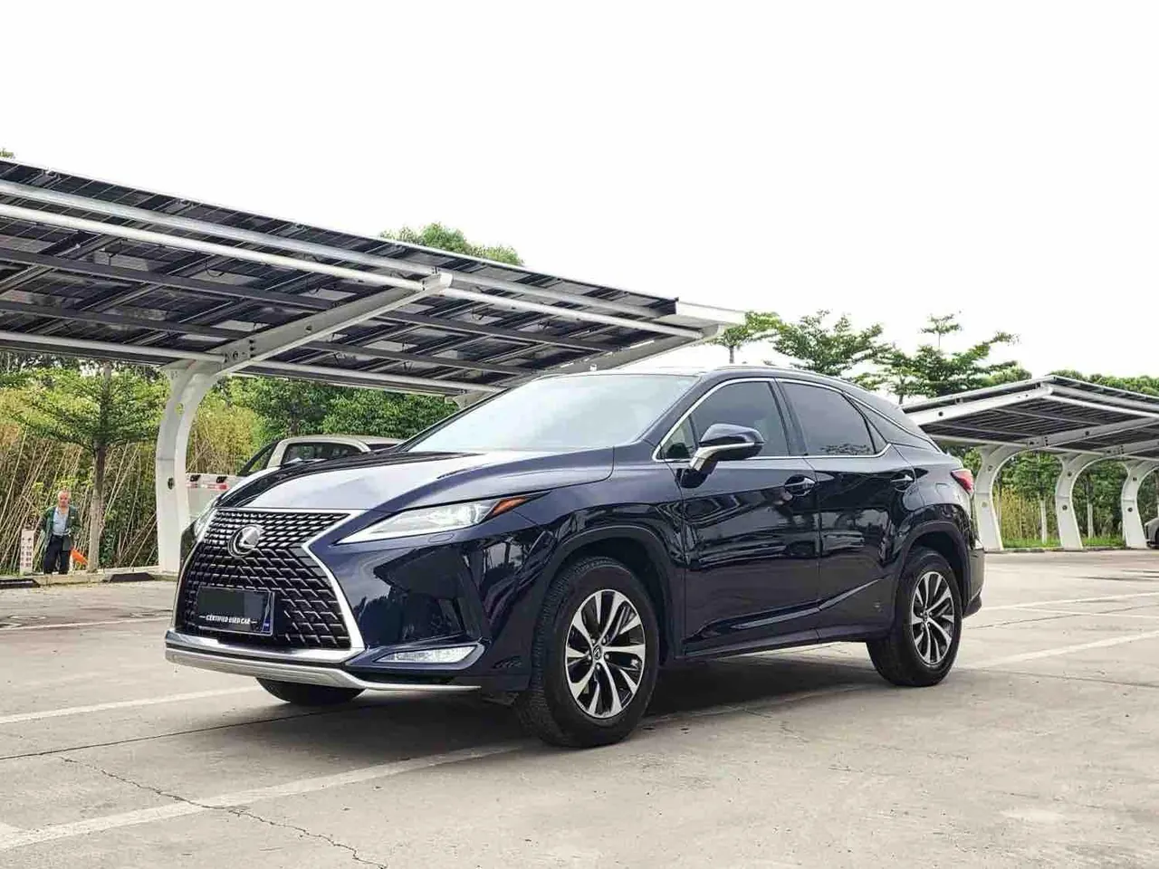 Lexus RX (Imported) 2020 RX300 2.0T Two-Drive Elite Edition (Revised) Automatic Gear - View 1