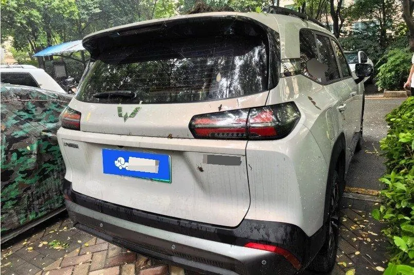 WuLing 2026 Starlight 560 1.5 Stepless 125km Luxury Automatic Transmission 2
