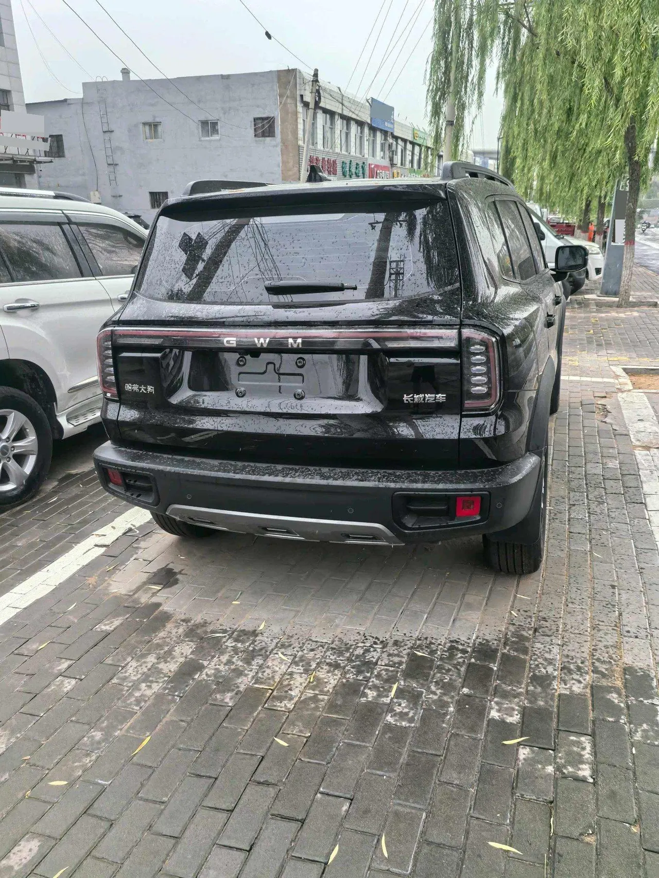 Haval 2026 model Big Dog 1.5T Border Collie Edition Automatic Transmission 7