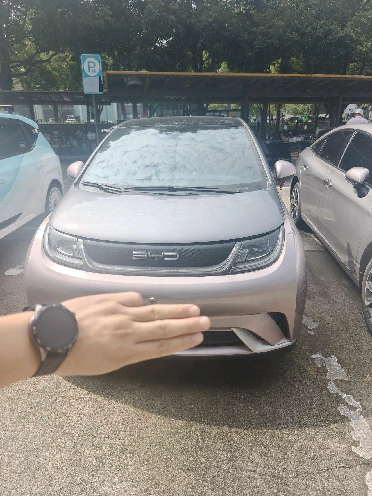 BYD 2021 Dolphin 405km Fashion Edition Automatic 2