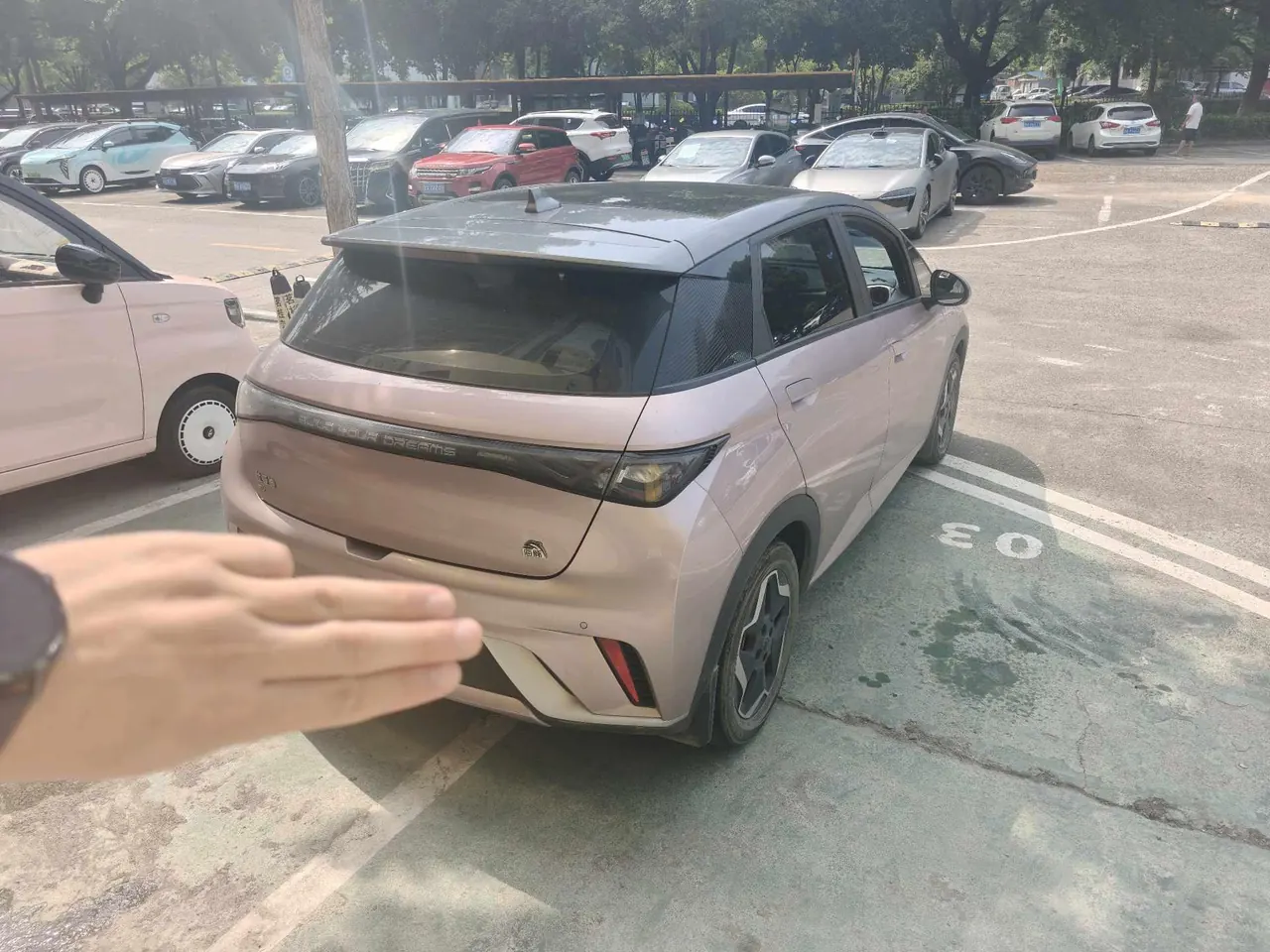 BYD 2021 Dolphin 405km Fashion Edition Automatic 4