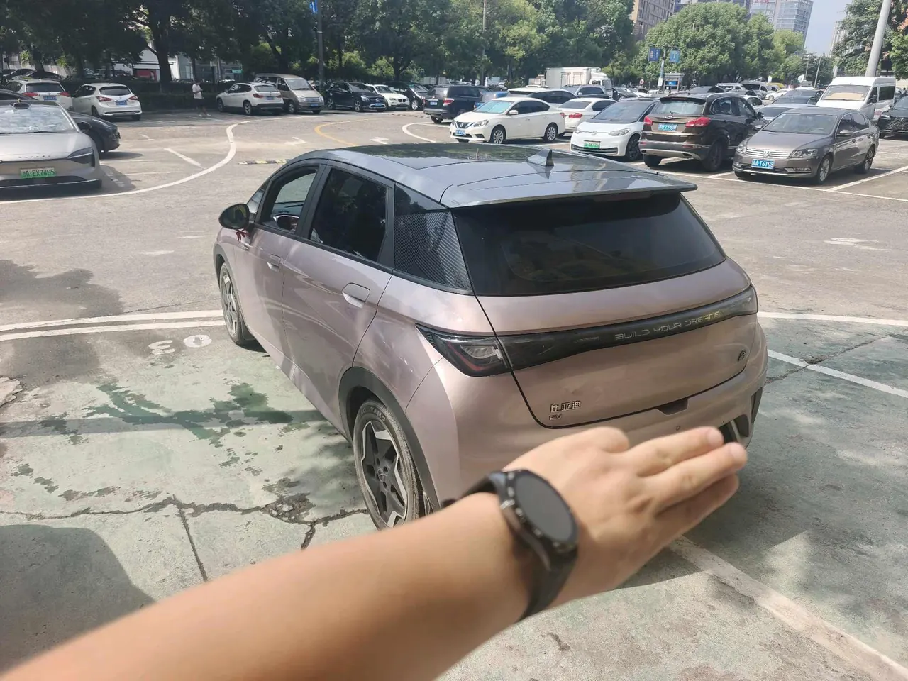 BYD 2021 Dolphin 405km Fashion Edition Automatic 5