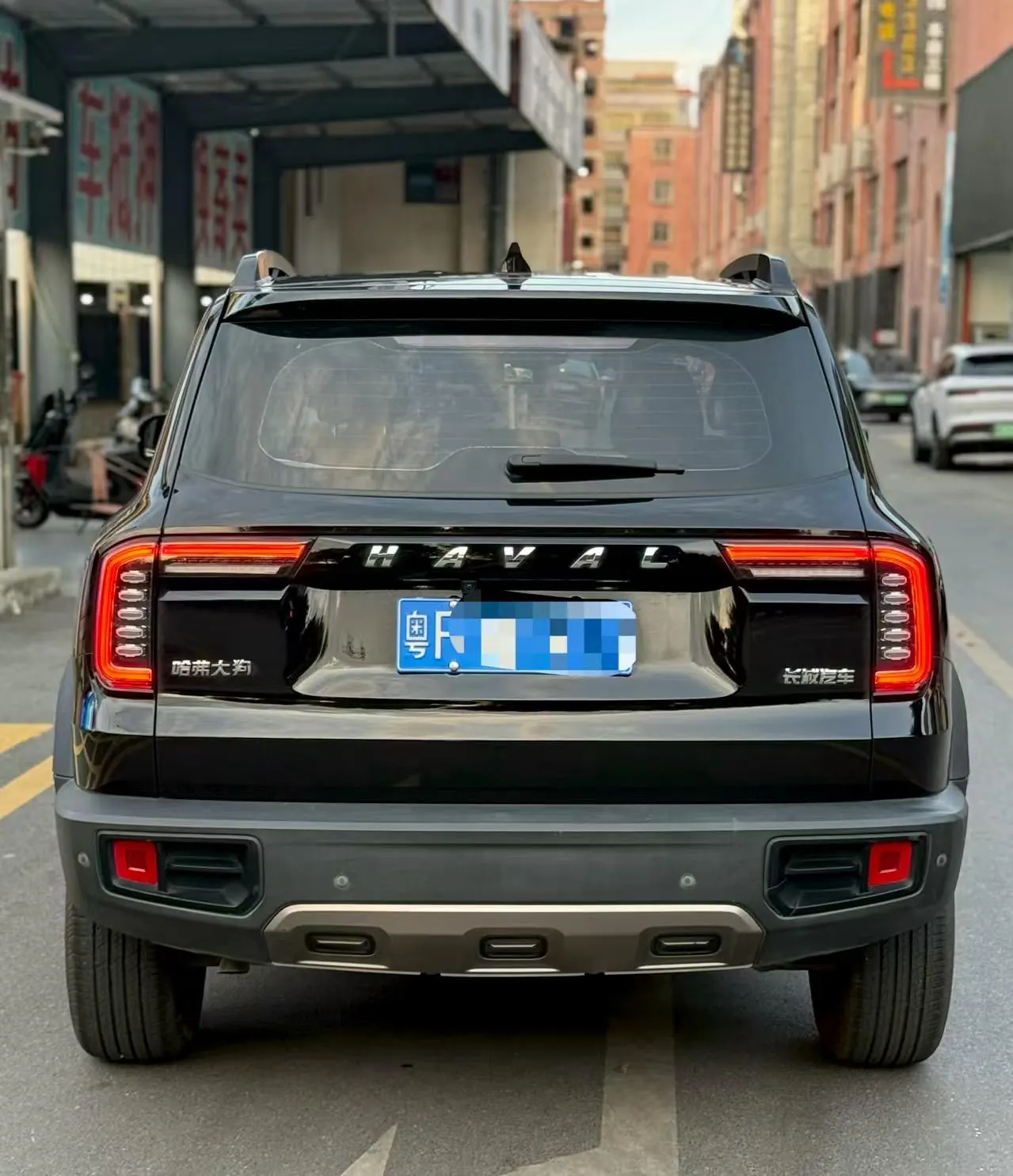 Haval 2022 big dogs 1.5T two-wheel-drive border animal husbandry version automatic gear 4