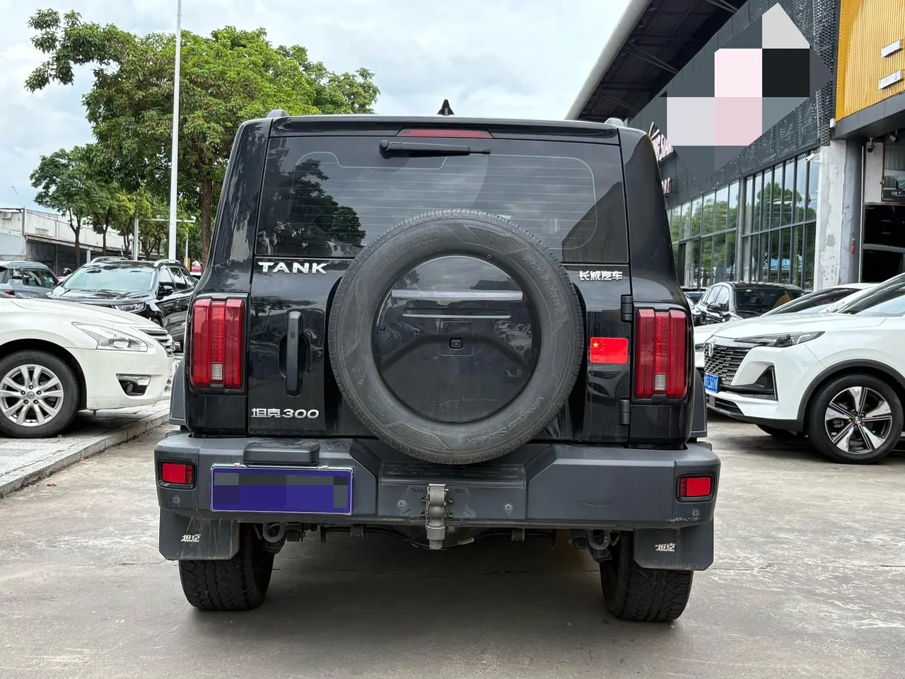 Tank 2021 Tank 300 2.0T Off-road Conqueror Automatic 11