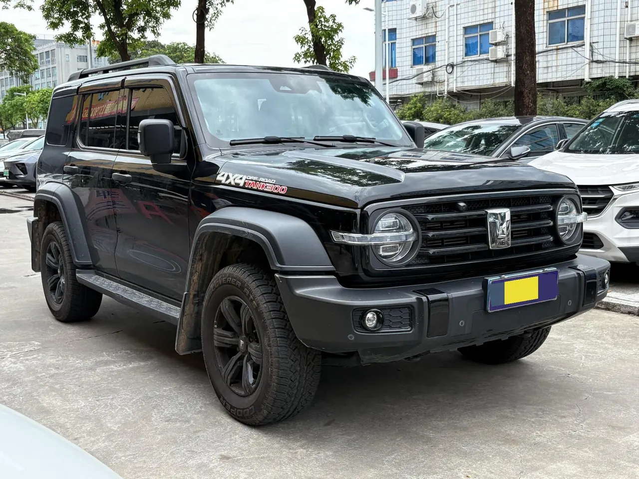 Tank 2021 Tank 300 2.0T Off-road Conqueror Automatic 2