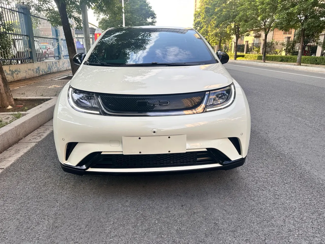 BYD 2023 Dolphin 420km Fashion Edition Automatic 2