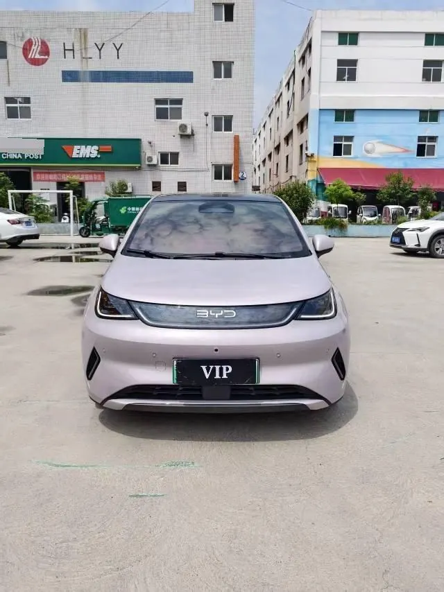 BYD 2025 Dolphin Smart Driving 410km Fashion Automatic Gear 2