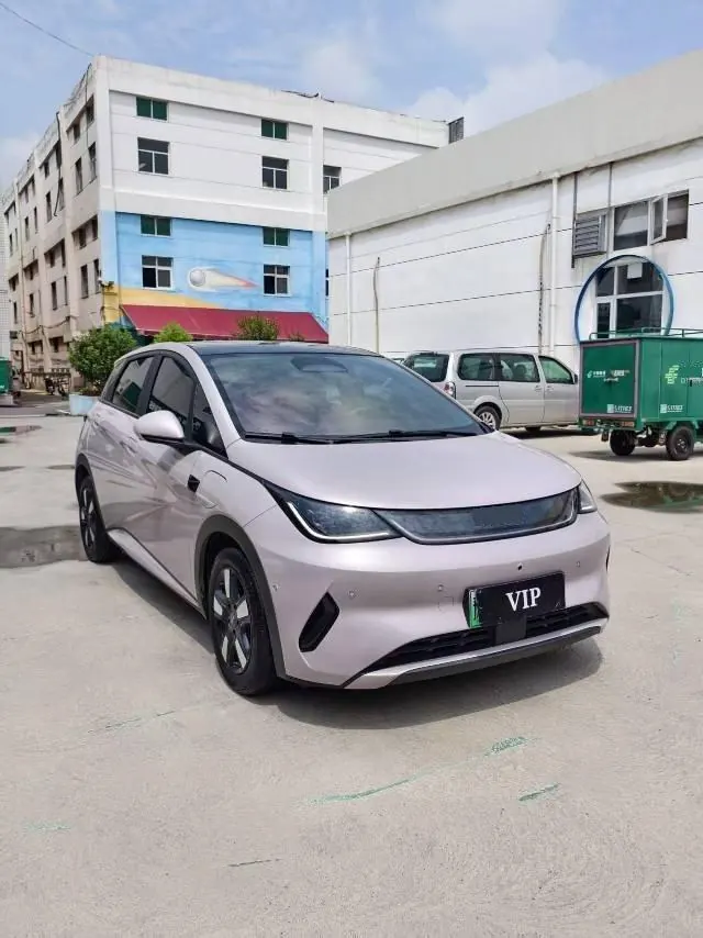 BYD 2025 Dolphin Smart Driving 410km Fashion Automatic Gear 3