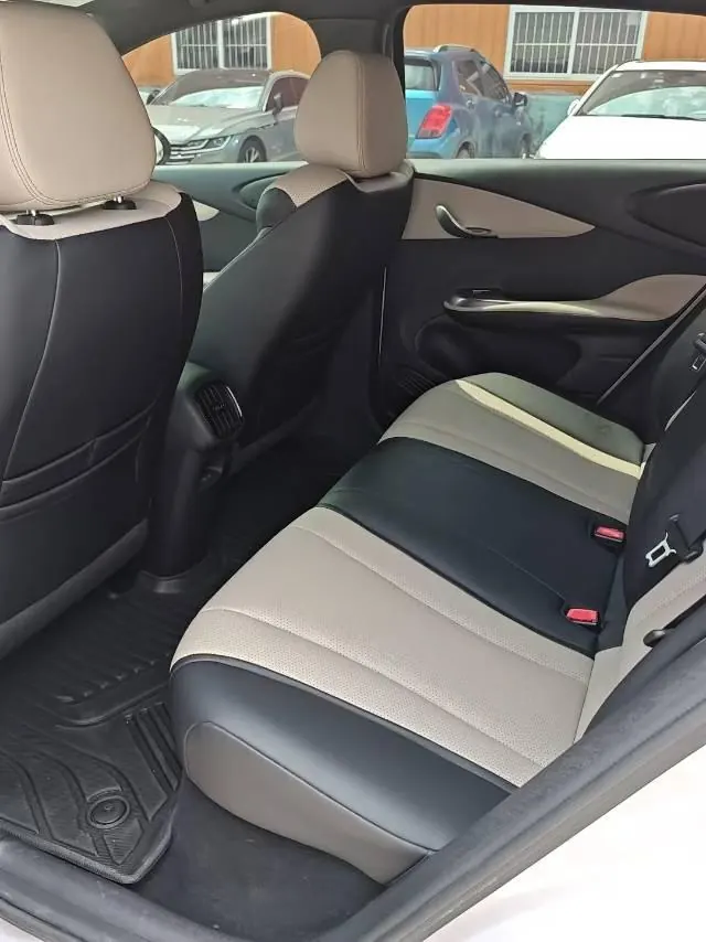 BYD 2025 Dolphin Smart Driving 410km Fashion Automatic Gear 5