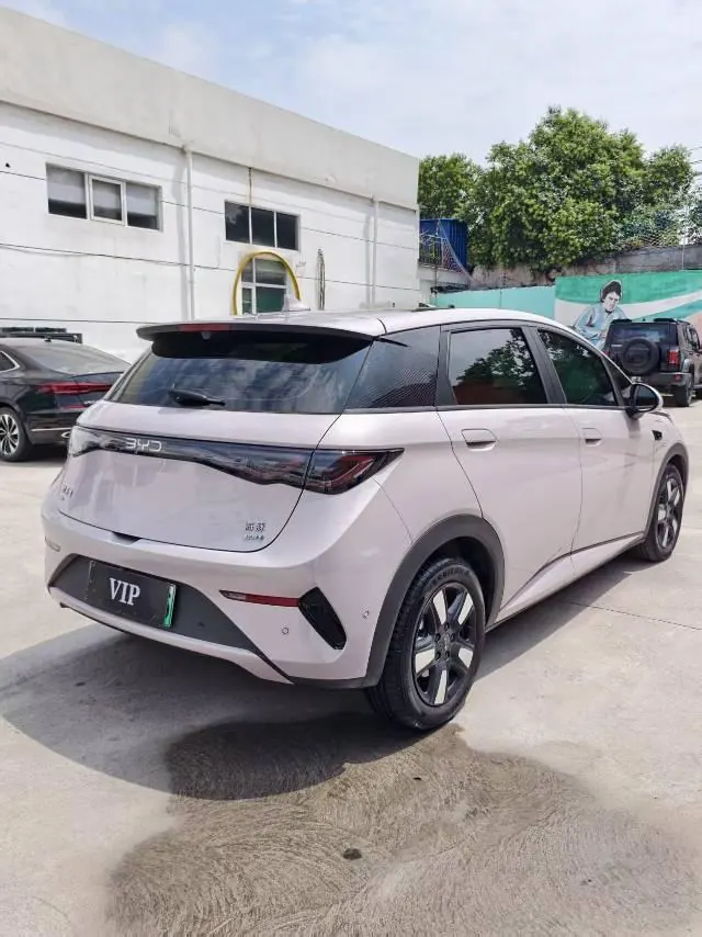 BYD 2025 Dolphin Smart Driving 410km Fashion Automatic Gear 7