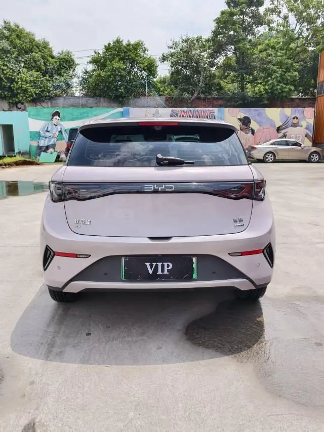 BYD 2025 Dolphin Smart Driving 410km Fashion Automatic Gear 8