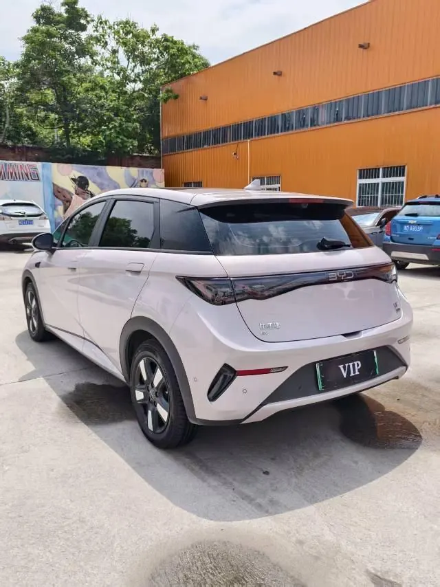 BYD 2025 Dolphin Smart Driving 410km Fashion Automatic Gear 9