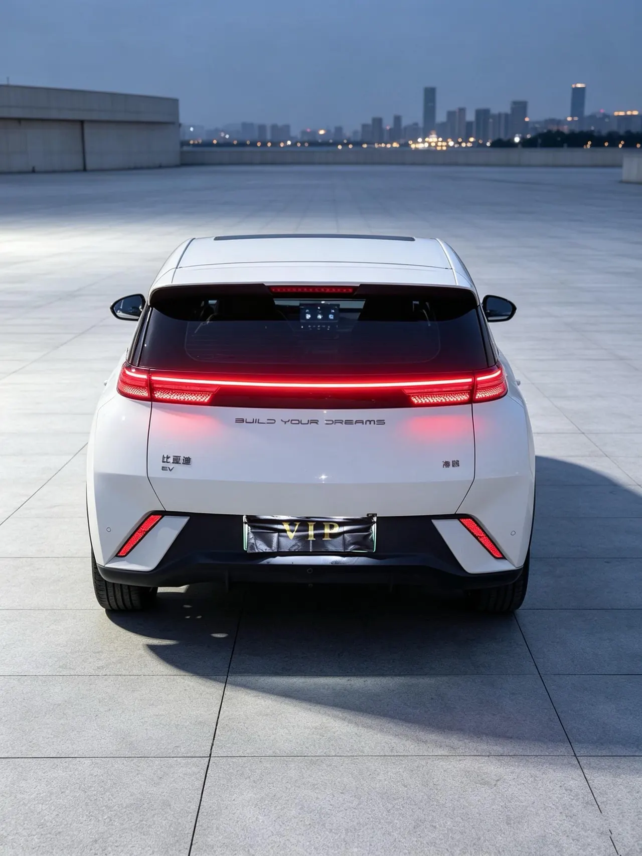 BYD 2024 Seagull Glory Edition 405km Flying Edition Automatic Gear 3