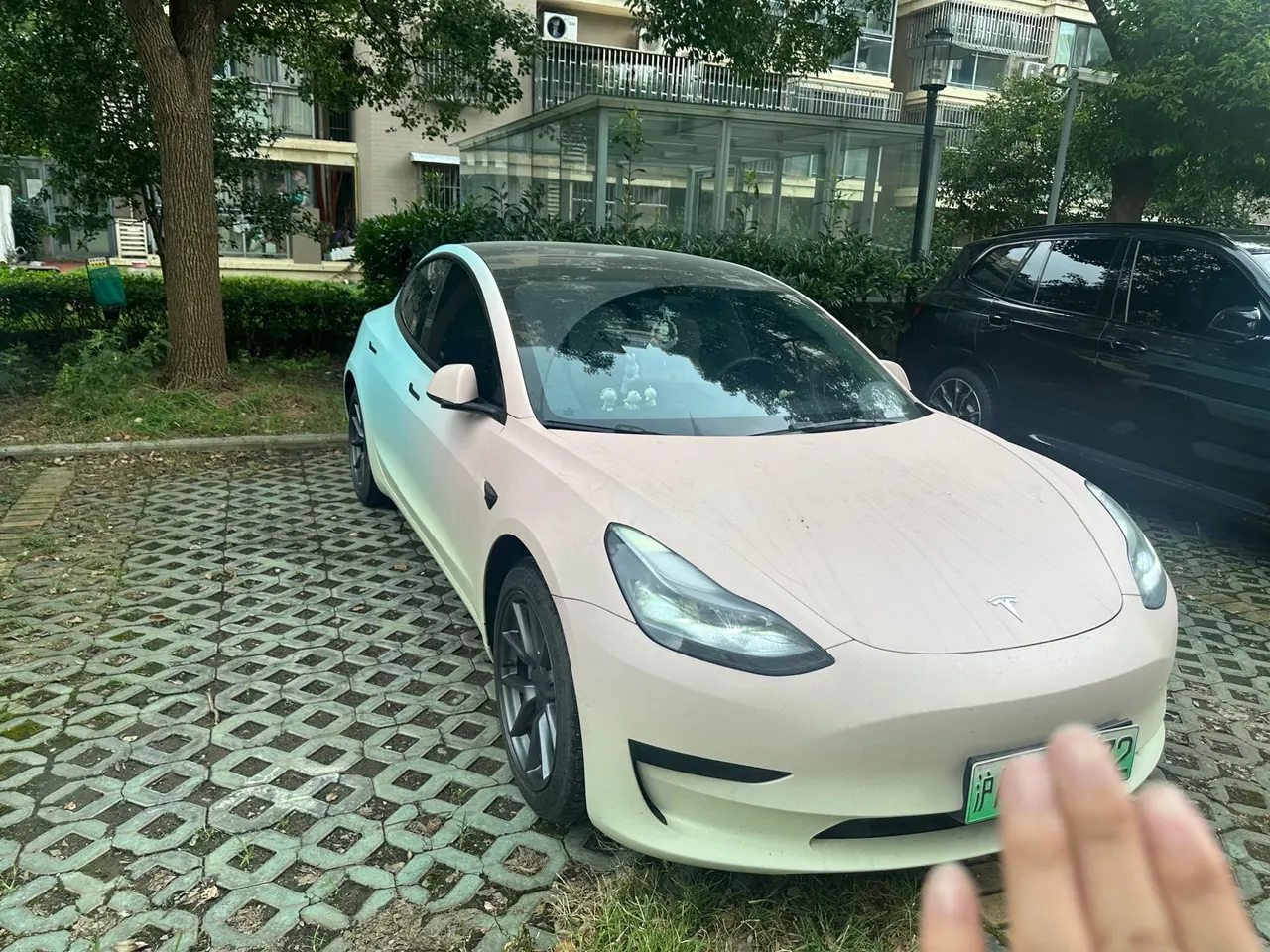 Tesla 2021 Model 3 Standard Endurance Rear Drive Upgraded Automatic Gear 2