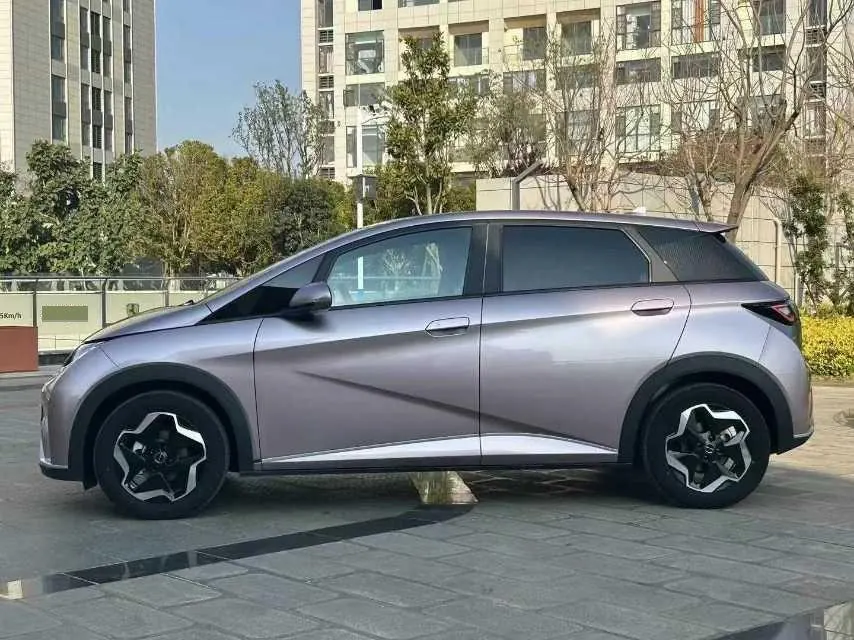 BYD 2021 Dolphin 405km Fashion Edition Automatic 2