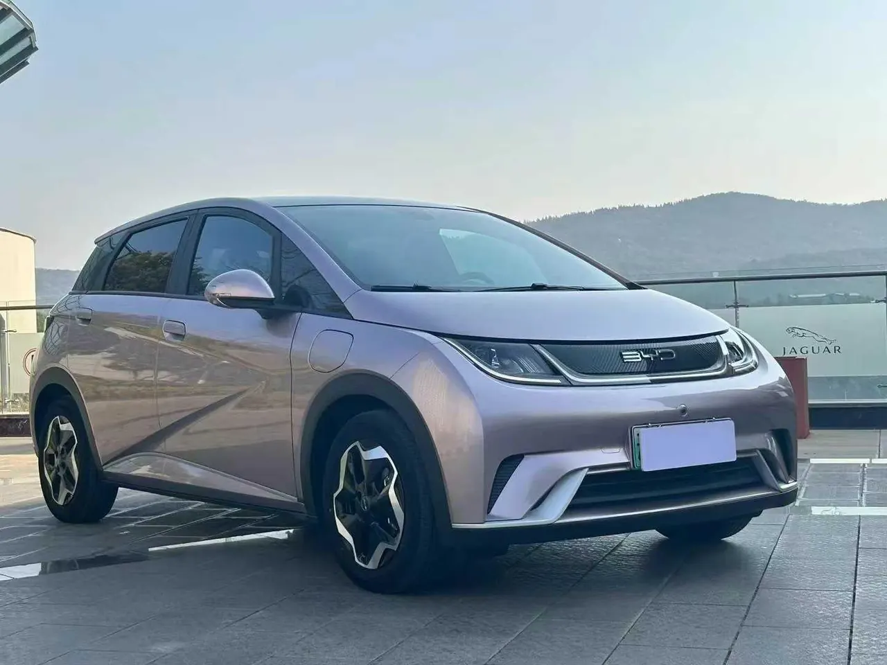 BYD 2021 Dolphin 405km Fashion Edition Automatic 3