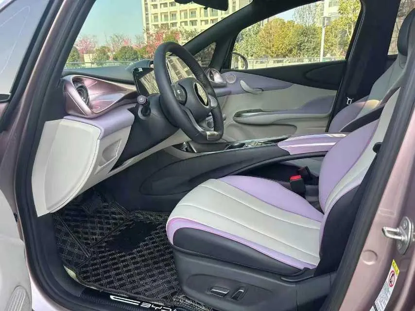 BYD 2021 Dolphin 405km Fashion Edition Automatic 4