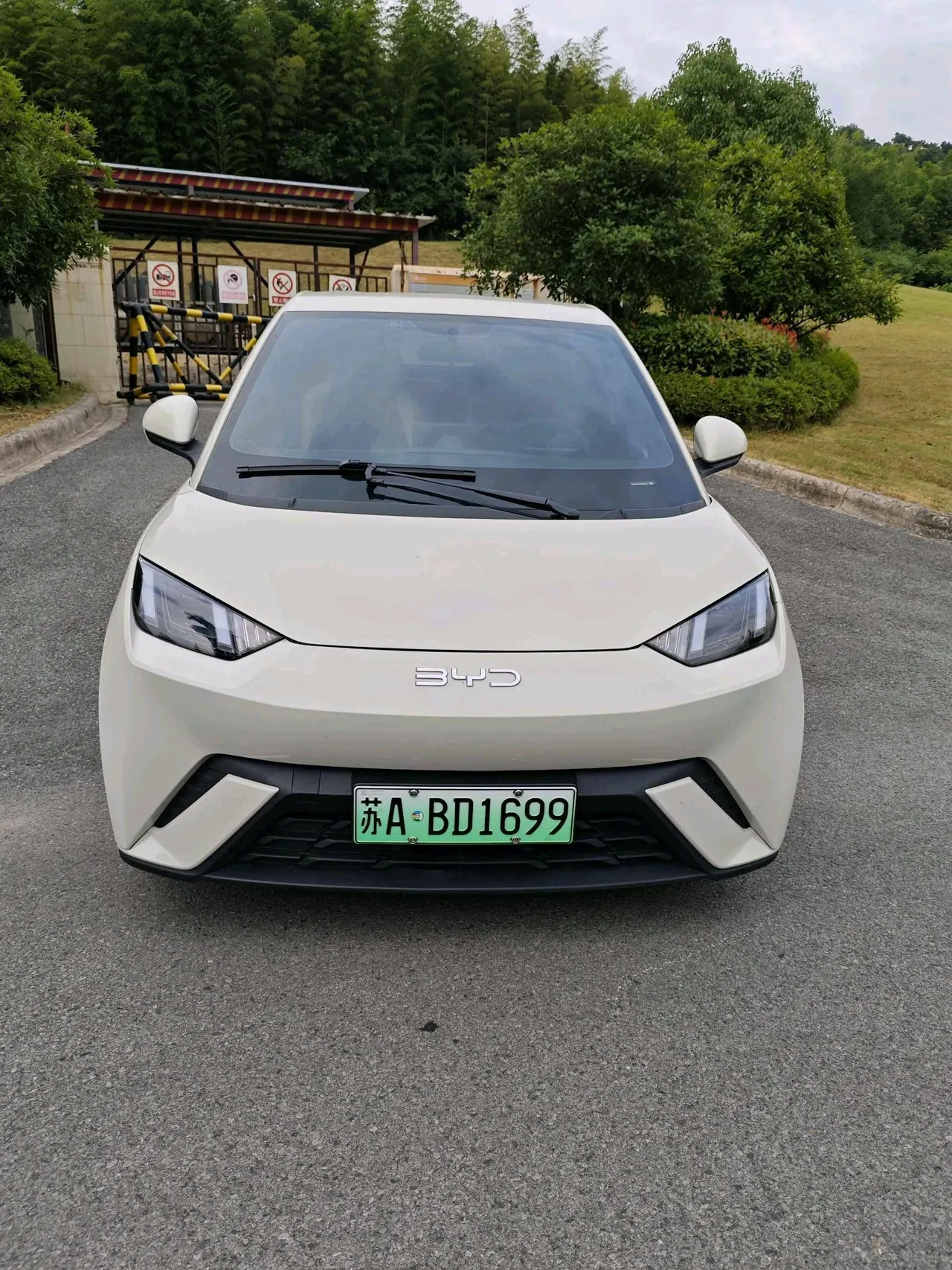 BYD 2025 seagulls 305km free version automatic gear 2