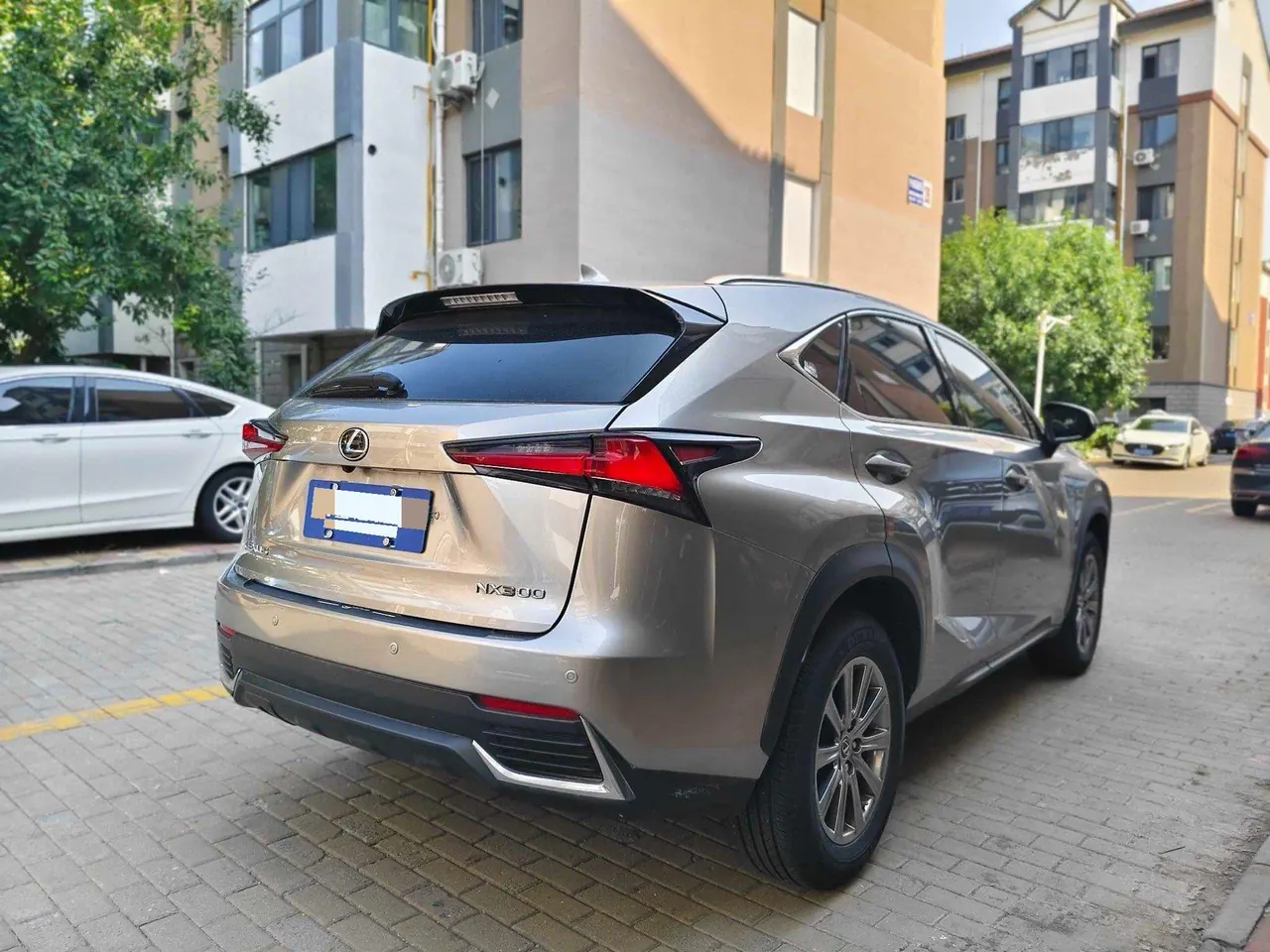 Lexus NX (Imported) 2020 NX200 2.0 Stepless Front Edition Automatic Gear 4